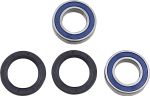  A251293 Wheel bearing kit + oil seals