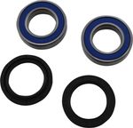  A251299 Wheel bearing kit + oil seals