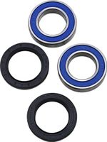 A251313 Wheel bearing kit + oil seals