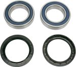  A251331 Wheel bearing kit + oil seals