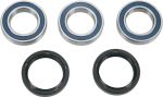  A251406 Wheel bearing kit + oil seals