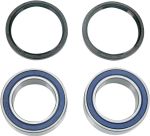  02150079 Wheel bearing kit + oil seals