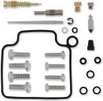  10030569 Carburettor repair kit