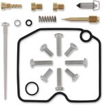  10030577 Carburettor repair kit