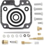  10030603 Carburettor repair kit