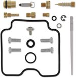  10030708 Carburettor repair kit