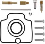  10030716 Carburettor repair kit