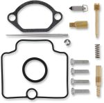  10030744 Carburettor repair kit