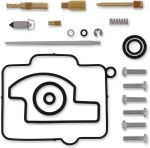  10030814 Carburettor repair kit