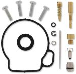 10030830 Carburettor repair kit
