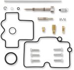  10030887 Carburettor repair kit