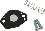  10031282 Carburettor repair kit