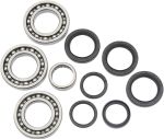  12050168 Differential bearings and seals kit