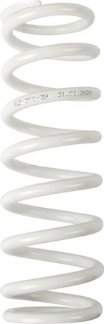  13120977 Dämpferfeder