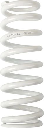  13120985 Dämpferfeder