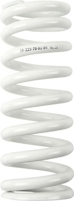  13121023 Dämpferfeder