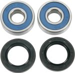  A251025 Wheel bearing kit + oil seals