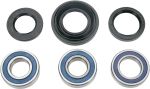  A251037 Wheel bearing kit + oil seals