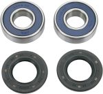  A251093 Wheel bearing kit + oil seals