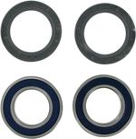  A251321 Wheel bearing kit + oil seals