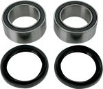  02150428 Wheel bearing kit + oil seals
