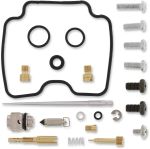  10030611 Carburettor repair kit