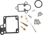  10030619 Carburettor repair kit