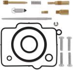  10030732 Carburettor repair kit