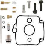  10030736 Carburettor repair kit