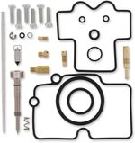  10030812 Carburettor repair kit