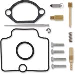  10030849 Carburettor repair kit