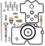  10030874 Carburettor repair kit