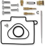 10030892 Carburator Reparatieset