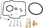  10030930 Carburettor repair kit