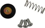  10031284 Carburettor repair kit