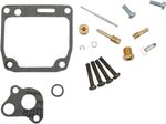  10031433 Carburettor repair kit