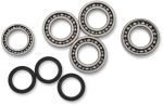 12050214 Differential bearings and seals kit