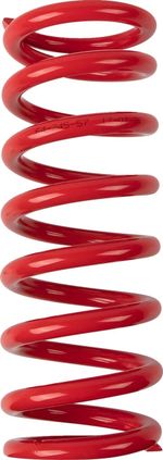  13120992 Dämpferfeder