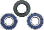  A251038 Wheel bearing kit + oil seals