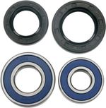  A251042 Wheel bearing kit + oil seals