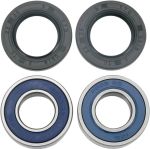  A251054 Wheel bearing kit + oil seals