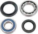  A251139 Wheel bearing kit + oil seals