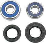  A251206 Wheel bearing kit + oil seals