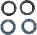  A251329 Wheel bearing kit + oil seals