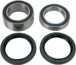  02150431 Wheel bearing kit + oil seals