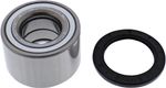  02151065 Wheel bearing kit + oil seals