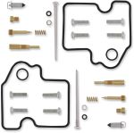  10030530 Carburettor repair kit