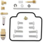  10030555 Carburettor repair kit