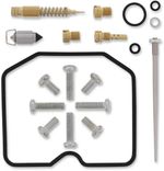  10030556 Carburettor repair kit