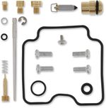  10030558 Carburettor repair kit